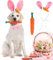 CEASELESLY Osterhunde-Stirnbänder,Hund Osterhase Kostüm,Karotte Haarband,Puppy Karotte Seil Spielzeug Geflochtene,Verstellbar Haustier Ostern Party Kostüm Zubehör für Hund Katze Welpen