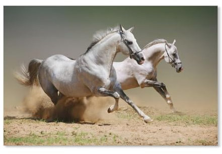 Puzzle 1000 Teile，2 Pferde Laufen，DIY Handwerk Geschenk（38x26cm）-D32