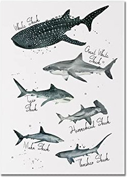 iYoucase Abstraktes Hai Poster Walhai Wand Bilder Leinwand Gemälde Moderne Meeresfische Bilderdruckdruck Nordisches Wandbild Für Zimmer Wohnkultur 40x60 cm Ungerahmt