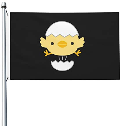Dekorationen Banner, Eierschalen-Küken-Flagge, 1,5 m x 0,9 m, doppelseitige Flagge, geeignet für drinnen und draußen