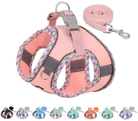 AIITLE Hundegeschirr Mit Leine, Einstellbar Mit Gepolsterter Weste für Jedes Wetter, Reflektierend, Leicht Anzulegen für Kleine Hunde Rosa S