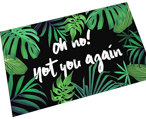 Eureya Individuelle Fußmatte mit Aufschrift Oh No!Not You Again, lustige Fußmatte aus Samt, für Wohnzimmer, Badezimmer, Heimdekoration, 45 x 70 cm