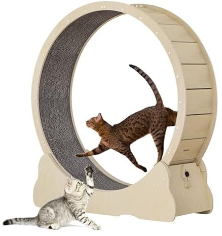 Keyzone Laufrad für Katzen, 1100 x 345 x 1170 mm Laufband für Katzen, Laufband mit Teppichboden, Fitnessgerät zur Gewichtsabnahme, Sportspielzeug für Katzen, für EIN längeres Leben der Katze