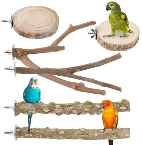 NLONLL 6 Pcs Bird Perches for Cage Parrot Perch Budgie Perches Natural Wood Parrot Perch Stand Bird Cage Perches Platform Paw Grinding Fork Parakeet Climbing Standing Branches for Cockatiels Lovebirds