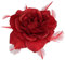 Rote Rose Haarspange Große Rose Fascinator Blume Haarspange Rot Haarschmuck Clips Elastische Hochzeit Haarblume 1 Stück