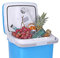 LEISURE DIRECT ® 26L LITRE THERMOELECTRIC COOL BOX COOLER HOT/COLD 12V MAINS CAMPING FRIDGE