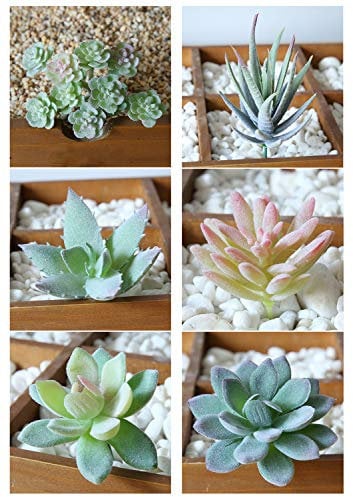 Plantas Suculentas Artificiales,6 Mini Suculentas Falsas Plantas Suculentas de Imitación Verde Ornamentos de Plantas de Xactus para Decoración Oficina Hogar Decoración
