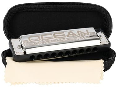 CASCHA Ocean Rock Mundharmonika D-Dur in Schwarz | Professionelle, diatonische 10-Loch Mundharmonika | Hochwertige Stimmzungen aus Phosphor-Bronze | Mit Softcase und Putztuch, HH 2328