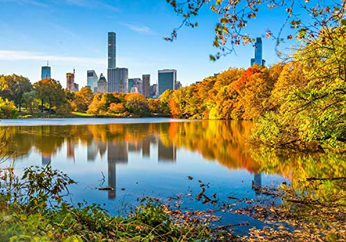 wandmotiv24 Fototapete New York Central Park, 200 x 140cm - selbstklebende Vliestapete 150g, Wanddeko, Wandbild, Wandtapete, USA Herbst Amerika M6530