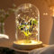 Fiada LED Glückslicht mit Vierblättriges Kleeblatt Prüfung Glücksbringer Kleines Geschenk für Glück Flaschenlicht Geburtstagsgeschenk für Lieblingsmensch Frau Freundin Hochzeit Abschluss Danke