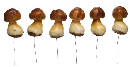 HEITMANN DECO Deko-Pilze mit Draht - Herbstdeko Natur, zum Basteln - Braun - 6er Set, ca. 4 x 3 x 7,5 cm