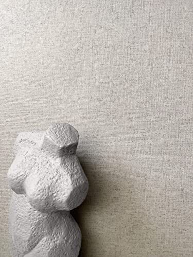 NEWROOM Papier peint Taupe Couleur Unie Intissé - Couleurs Unies Beige Gris Structure Textile