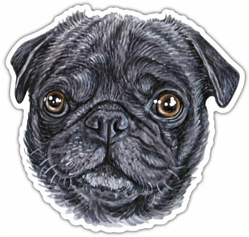 Samunshi® Schwarzer Mops Aufkleber Autoaufkleber für Motorrad Fahrrad Roller oder Auto Sticker Fahrrad Mtb Mountainbike Rennrad Hund Dog Dogo 10cm Schwarzer Mops