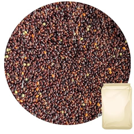 R&M Schwarze Hirse 0.8 kg | Saat Wellensittich Vogelfutter Kanarien Sorghum