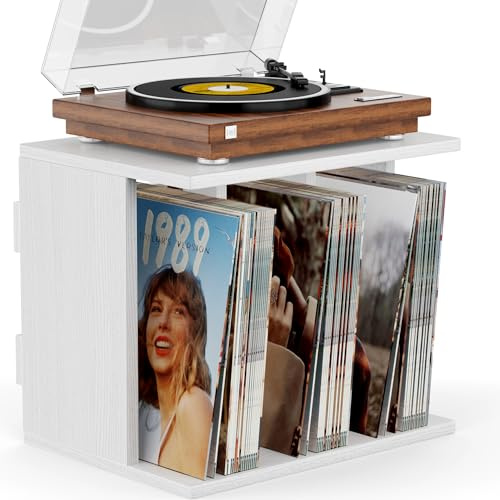 Emfogoo Schallplatten Aufbewahrung, Holz Schallplatten Wandhalterung & Vinyl Halter bis zu 100 Alben, 3-Kompartiment Schallplattenständer für Magazine, Bücher, Akten, Alben (Braun)