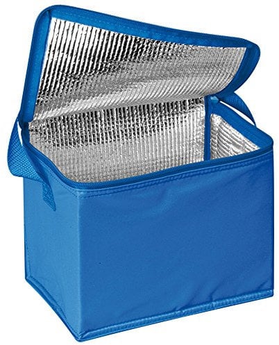 Thermal Insulated Portable Cool Canvas Stripe Lunch Picnic Totes Carry Case Bag (Large, Blue)