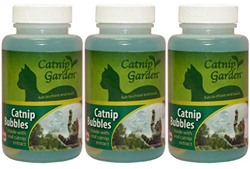 Multipet +International+20515+5+oz+herbe à chat+jardin+bulles