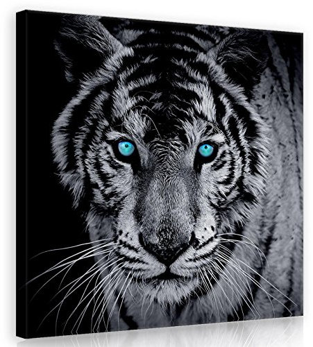 Forwall Leinwandbild Wohnzimmer Tiger Tiere Schwarz Blau 80x80 cm - Modern Bilder Groß XXL Wandbild Kunstdruck Wandbilder Canvas Desing Wand Bild auf Leinwand Aufhängefertig