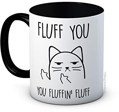Fluff You, You Fluffin' Fluff - Rude Cat Funny Ceramic Coffee Mug (Black)