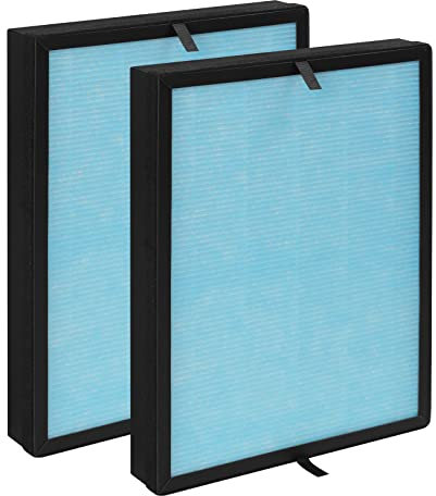 GoKBNY Confezione da 2 filtri di ricambio True HEPA AP1002 H13 compatibili con purificatore d'aria AP1002 AP1002-RF