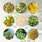 40 Pcs Ginkgo Baum Kaufen Samen - Ginkgo Biloba - Minigarten, Bonsai Baum Echt Ginko Samen, Bäume Kaufen, Zimmerbonsai Bonsai Bonsai Tree Bäume Pflanzen Bonsaibaum, Pflanzen Züchten
