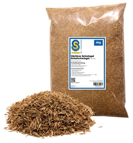Härtlicher Schwingel/Schafschwingel 1kg Festuca trachyphylla Pflegeleichtes, trockenheitsresistentes Gras für 200 m² Ideal für Straßenränder, Begrünungen und private Rasenflächen