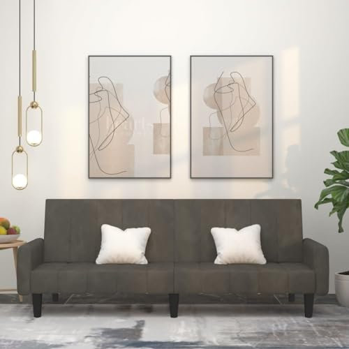 Willood Schlafsofa 2-Sitzer Dunkelgrau Samt Mit Armlehnen Ausziehbares Schlafsofa