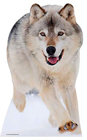 Star Cutouts Cut Out of Wolf