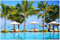 Wallario Poster - Sonnenschirme am Südsee-Palmenstrand mit blauem Meer-Wasser in Premiumqualität, Größe: 61 x 91,5 cm (Maxiposter)
