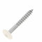 SCREW REBEL Fassadenschrauben 4,8x38 TX20 - RAL 9010, Reinweiß - 100 Stück Edelstahl A2 Trespo