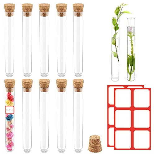 10 Stück Reagenzglas, Reagenzgläser, Reagenzgläser klein, 20ml Reagenzgläser mit Korken kunststoff, Transparent Reagenzgläsern, für Laboratorien, Bonbons, Blumen, mit Aufkleber