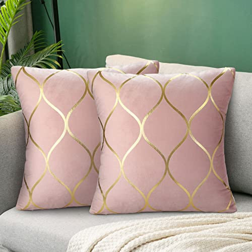 Hanrunsi Housse de Coussin 40 x 40 Rose Gold Velours Lot de 2 Housse de Coussin 40 x 40 Rose Carré Décoratif Housse de Coussin Décoratif pour Canapé Salon Chambre Voitures