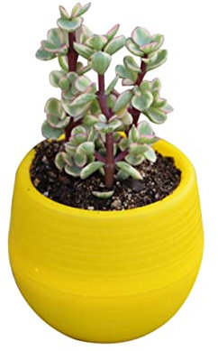 Pots De Plantes en Argile Décorations Petits Conteneurs Pot De Fleurs Rond Pot De Fleur Pots Succulents Cactus Plantes Succulentes Bol Succulent Pot Paresseux Jaune Petit