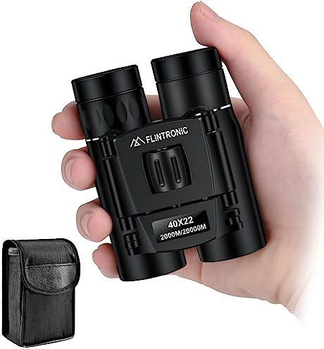 Flintronic 40x22 Kompakt Mini-Fernglas, HD Ferngläser, Leichtes Faltteleskop für Erwachsene und Kinder, für die Jagd, Besichtigung, Vogelbeobachtung, Wandern, Anschauen von Fußballspielen
