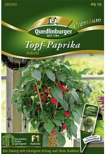 Topfpaprika, Kobold F1