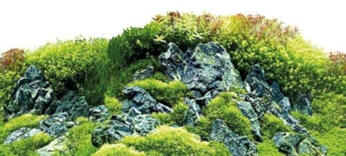 Hobby 31032 Fotorückwand-Zuschnitt Scaper's Hill / Scaper's Forest