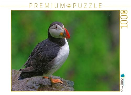 CALVENDO Puzzle Papageientaucher | 1000 Teile Lege-Größe 64 x 48 cm Foto-Puzzle für glückliche Stunden