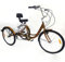 MINUS ONE Dreirad Für Erwachsene Erwachsenen Dreirad Fahrrad Mit 3 Rädern Seniorenrad Lastenfahrrad 24 6-Gang-Schaltung (Golden ohne Licht)