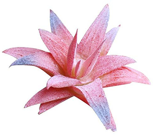 DUO ER Künstliche sukkulente gefälschte Aloe Vera DIY künstliche Pflanze Faux sukkulent für Wohnkultur (Farbe : Pink Flocking)