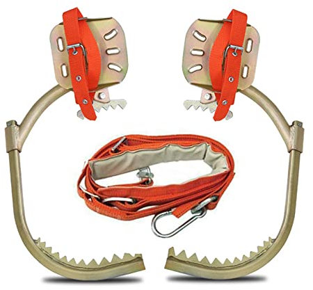 jackfru Baumpflege Spikes mit Sicherheitsgurt, Forst Steigeisen Baumsteigeisen Baumklettern Ausrüstung, Kletter Werkzeug für Elektroarbeiter Indoor- und Outdoor-Sport (350 Modell)