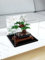 ShanChuangQi 3 mm Vitrine für Lego 10281 Bonsai-Baum-Bauset, staubdichte, transparente Vitrine, kompatibel mit Lego 10281 (Modell nicht im Lieferumfang enthalten)