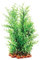 Aqua One Vibrance Wisteria with Gravel Base Aquarium Plant, X-Large