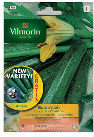 Sobre semillas CALABACIN - 7 gr.