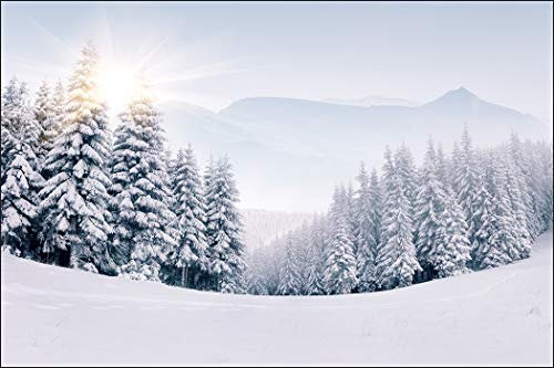 Muralo Vinyl Glatte FOTOTAPETE Winterlicher Wald Tapete Wandtapeten 254 x 184 Wohnzimmer Schlafzimmer Moderne Wandbilder XXL Wand Dekoration Br.254xHö.184