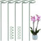 OMATSBEH 5 Pack 35 inch 90 cm Plant Support Stakes, Garden Single Stem Support Stake Amaryllis Plant Support Rings with 10 pcs Plant Clips for Tomatoes Orchid Lily Peony Flower Stem (90 CM)
