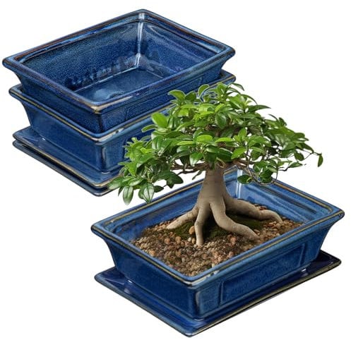 2er-Set Bonsai Keramiktopf Bonsaischale mit Untersetzer und Entwässerungslöchern für Japanische Bonsai Zimmerpflanzen, Retro-Dekoration für Gartenbehälter-Sets im Freien, Durchmesser Öffnung 19cm