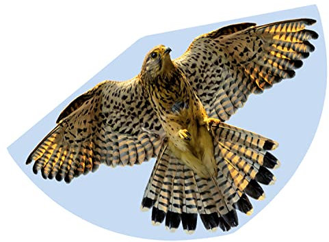 Günther Flugspiele 1230 - Einleiner-Drachen Falke, ca. 92 x 62 cm, Kinderdrachen aus robuster PE-Folie, für Kinder ab 4 Jahren, inkl. Griff und Drachenschnur