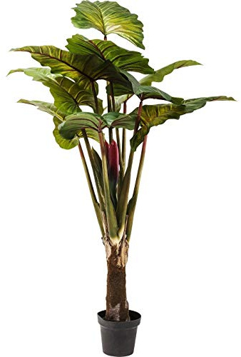 Kare Design Kunstpflanze Rainforest, Grün, Höhe 160cm, Dekoration, Accessoires, Natur, Wohnzimmer, Flur, Schlafzimmer, 160x52x52 cm (H/B/T)