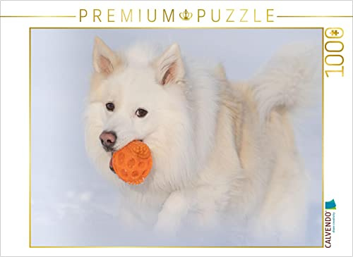 CALVENDO Puzzle Islandhund im Schnee | 1000 Teile Lege-Größe 64 x 48 cm Foto-Puzzle für glückliche Stunden
