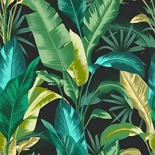 Graham & Brown Envy Leaf It Out - Midnight Wallpaper